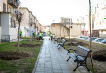 Pas rikualifikimit urban, nis gjelbërimi i zonës së Kombinatit