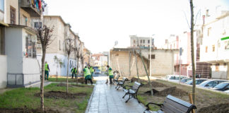 Pas rikualifikimit urban, nis gjelbërimi i zonës së Kombinatit