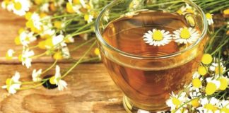 Pse duhet të konsumoni çaj kamomili, përfitimet shëndetësore
