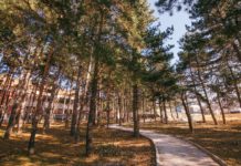 FOTOT/ Një park japonez në qytetin e serenatave, ja sa kanë avancuar punimet