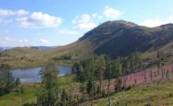 ‘Krijohet’ Parku Kombëtar “Lurë-Mali i Dejës”; Ja sa do të jetë sipërfaqja e tij