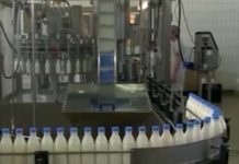 Keni projekte në agropërpunim? Mund të financoheni nga 25 mijë deri në 2 mln euro