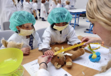 Një spital për arushat prej pelushi, ja arsyeja e veçantë