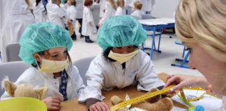 Një spital për arushat prej pelushi, ja arsyeja e veçantë