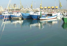 Turizëm dhe peshkim, Shqipëria përfshihet në projektin e 5 shteteve