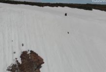 ‘Mos u dorëzo kurrë’, video që është parë nga miliona njerëz