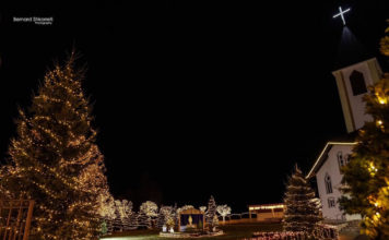 FOTOT/ A është ky fshati shqiptar me dekorimin më fantastik për Krishtlindje! Pamje përrallore