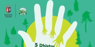 Dita Ndërkombëtare e Vullnetarëve/ Mbjellje, pastrimi e riciklimi në Parkun e Liqenit