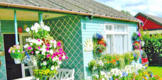 Studimi/ Kopshtaria dhe lulet, pasioni që ju jep kënaqësi dhe jetëgjatësi