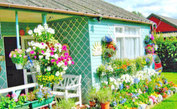 Studimi/ Kopshtaria dhe lulet, pasioni që ju jep kënaqësi dhe jetëgjatësi