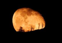 Foto e shkrepur për Krishtlindje në malin e Dajtit! Disa e kanë quajtur ‘fotoja e vitit’