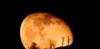 Foto e shkrepur për Krishtlindje në malin e Dajtit! Disa e kanë quajtur ‘fotoja e vitit’