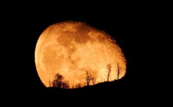 Foto e shkrepur për Krishtlindje në malin e Dajtit! Disa e kanë quajtur ‘fotoja e vitit’