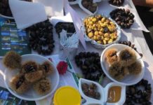 Gështenjat, sherebela, frutat e pyllit; hapet inkubatori i produkteve tipike në Reç