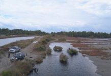 Në “Ishullin e Pelikanit”, krijohet infrastruktura ku zogjtë ngrenë foletë e tyre