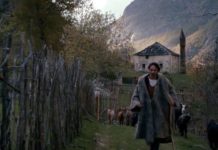 Filmi shqiptar “Streha mes reve”, premierë në kinematë e Tiranës