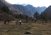 FOTOT/ Parkut Kombëtar të Thethit i shtohen 350 fidanë arre