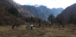 FOTOT/ Parkut Kombëtar të Thethit i shtohen 350 fidanë arre