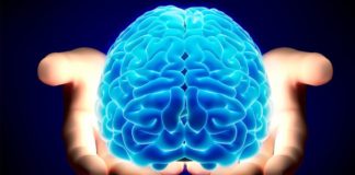 Truri i njeriut, ja 10 fakte interesante