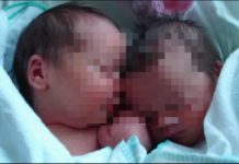 Njihuni me Andrean dhe Fabion, binjakë por të lindur në vite të ndryshme