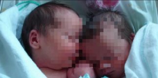 Njihuni me Andrean dhe Fabion, binjakë por të lindur në vite të ndryshme