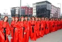 14 Janari, dita që u shkrua me germa të arta për shqiptarët e Maqedonisë