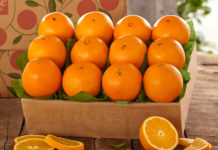 6 efekte pozitive nga konsumimi i një portokalli në ditë