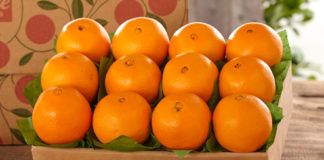 6 efekte pozitive nga konsumimi i një portokalli në ditë