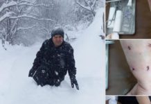 Infermieri hero, ecën dy orë në këmbë në mbi 1 metër borë, i shpëton jetën një gruaje