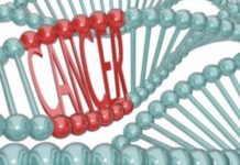 Një kurë kundër kancerit, shkencëtarët izraelitë janë optimistë me gjetjen e tyre