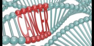 Një kurë kundër kancerit, shkencëtarët izraelitë janë optimistë me gjetjen e tyre