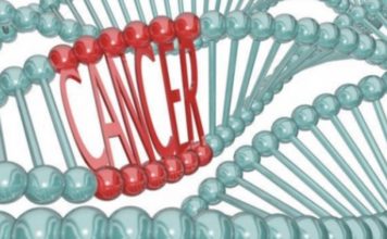 Një kurë kundër kancerit, shkencëtarët izraelitë janë optimistë me gjetjen e tyre