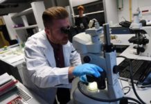 Një minirobot për të transportuar medikamentet në trup