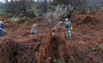 “Krijo oksigjenin tënd”, nxënësit mbjellin 1500 fidanë në Llogara