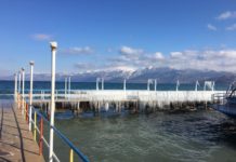 FOTOT/ Ngricat sjellin pamje spektakolare në Pogradec