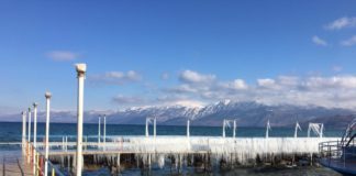 FOTOT/ Ngricat sjellin pamje spektakolare në Pogradec