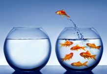 12 mënyra për të sfiduar zonën e rehatisë