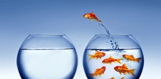 12 mënyra për të sfiduar zonën e rehatisë