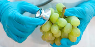 Ekspertë nga vendi me sigurinë e dytë ushqimore më të mirë në botë do vijnë në Shqipëri