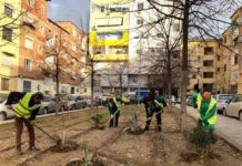 Tiranë, një tjetër lulishte për banorët e Njësisë Administrative Nr. 7