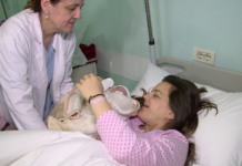 Fëmija i parë në Shqipëri erdhi në jetë në minutën e parë të vitit dhe është…