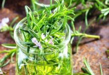 Harroni shpesh? Ja ushqimet që duhet të konsumoni për një kujtesë të fortë