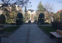 Ja projekti që rivitalizoi lulishten “Vaso Kadija” në Shkodër