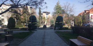 Ja projekti që rivitalizoi lulishten “Vaso Kadija” në Shkodër