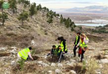 Qytetarët kontribuojnë, i shtohen dhe 100 fidanë Ballkonit të Bunës