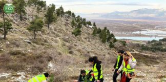 Qytetarët kontribuojnë, i shtohen dhe 100 fidanë Ballkonit të Bunës