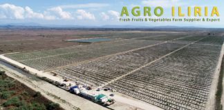 “Agro Iliria”, një histori suksesi në fushën e bujqësisë