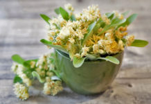 Lulet e blirit, arma e fortë kundër ankthit