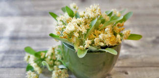 Lulet e blirit, arma e fortë kundër ankthit