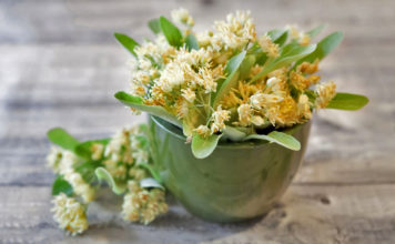 Lulet e blirit, arma e fortë kundër ankthit